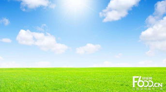 睿容空氣凈化器加盟指南 加盟費、官網、條件流程及政策支持解析